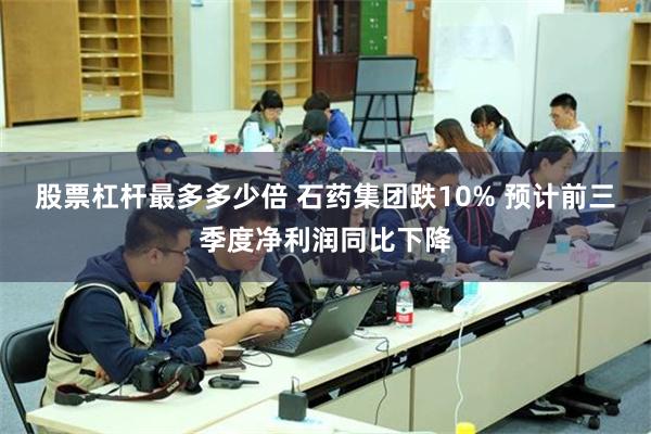 股票杠杆最多多少倍 石药集团跌10% 预计前三季度净利润同比下降