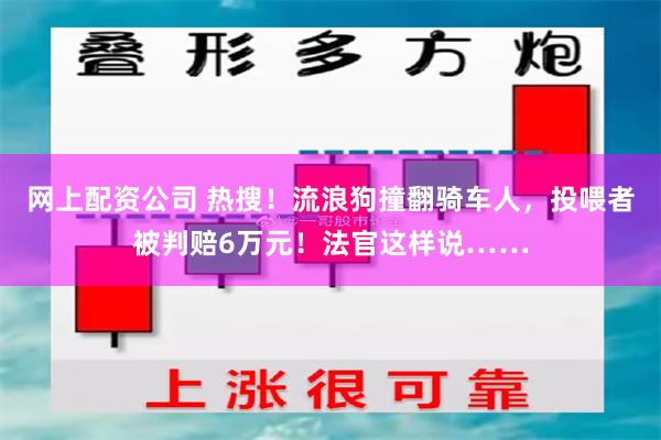 网上配资公司 热搜！流浪狗撞翻骑车人，投喂者被判赔6万元！法官这样说……