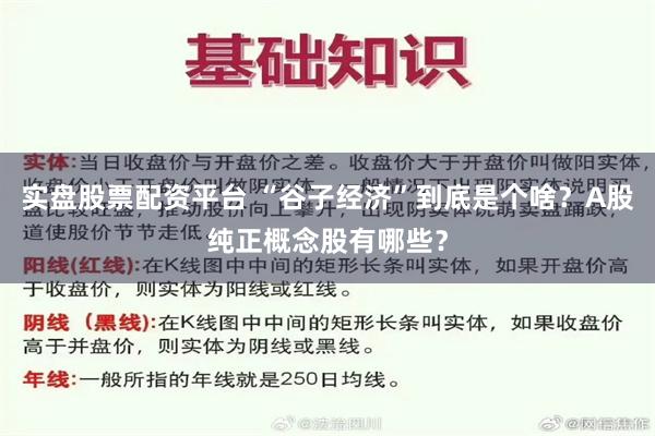 实盘股票配资平台 “谷子经济”到底是个啥？A股纯正概念股有哪些？