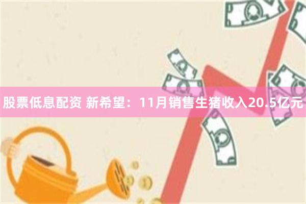 股票低息配资 新希望：11月销售生猪收入20.5亿元