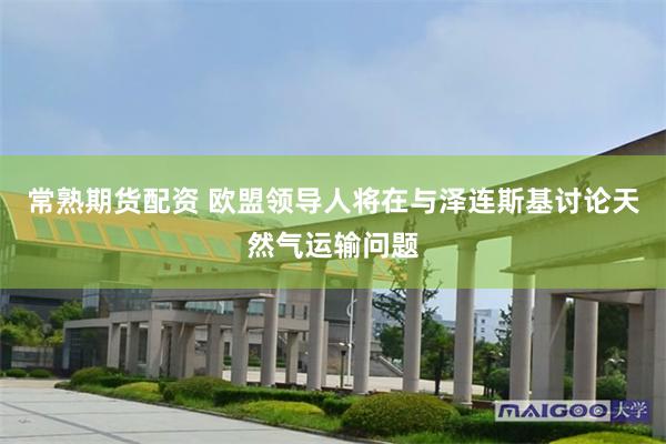 常熟期货配资 欧盟领导人将在与泽连斯基讨论天然气运输问题