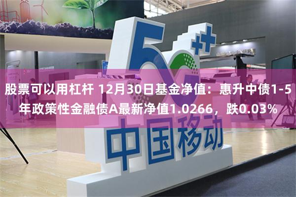 股票可以用杠杆 12月30日基金净值：惠升中债1-5年政策性金融债A最新净值1.0266，跌0.03%