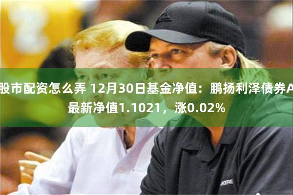 股市配资怎么弄 12月30日基金净值：鹏扬利泽债券A最新净值1.1021，涨0.02%