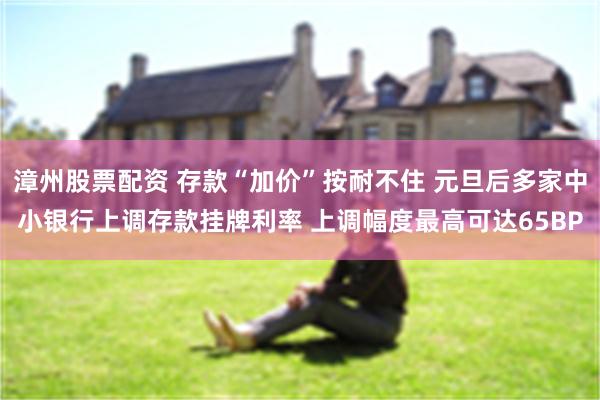漳州股票配资 存款“加价”按耐不住 元旦后多家中小银行上调存款挂牌利率 上调幅度最高可达65BP