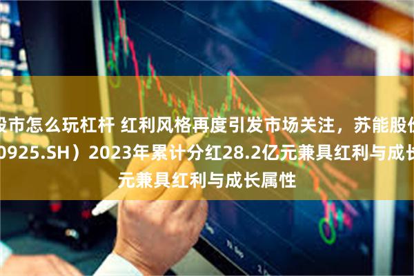 股市怎么玩杠杆 红利风格再度引发市场关注，苏能股份（600925.SH）2023年累计分红28.2亿元兼具红利与成长属性