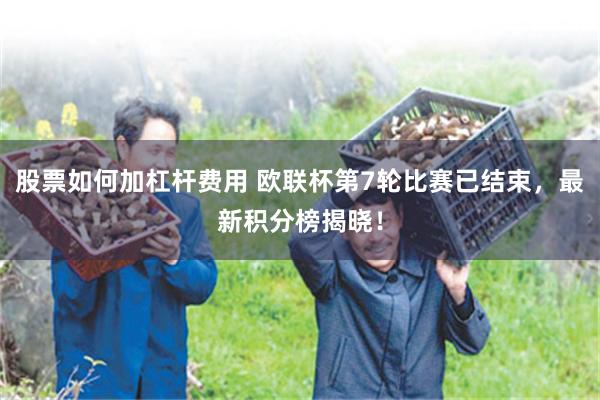 股票如何加杠杆费用 欧联杯第7轮比赛已结束，最新积分榜揭晓！