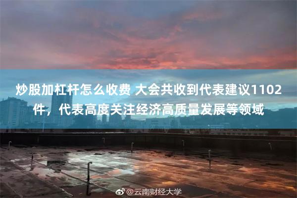 炒股加杠杆怎么收费 大会共收到代表建议1102件，代表高度关注经济高质量发展等领域