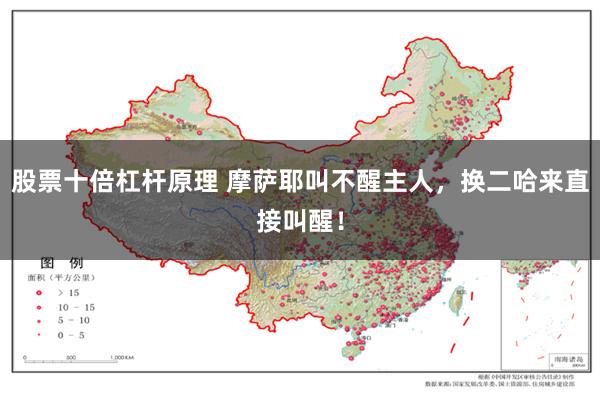 股票十倍杠杆原理 摩萨耶叫不醒主人，换二哈来直接叫醒！