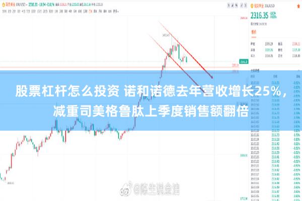 股票杠杆怎么投资 诺和诺德去年营收增长25%，减重司美格鲁肽上季度销售额翻倍