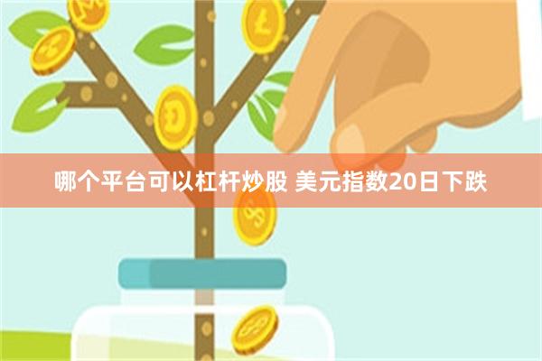 哪个平台可以杠杆炒股 美元指数20日下跌