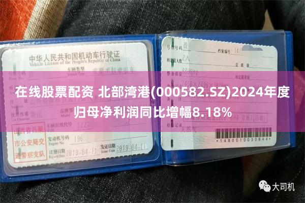 在线股票配资 北部湾港(000582.SZ)2024年度归母净利润同比增幅8.18%