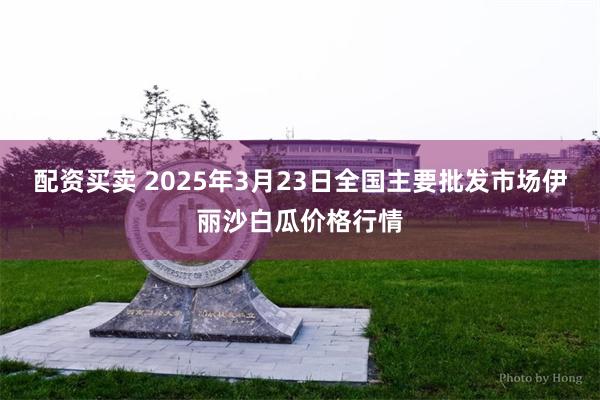 配资买卖 2025年3月23日全国主要批发市场伊丽沙白瓜价格行情