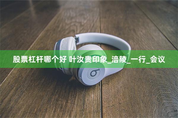 股票杠杆哪个好 叶汝贵印象_涪陵_一行_会议