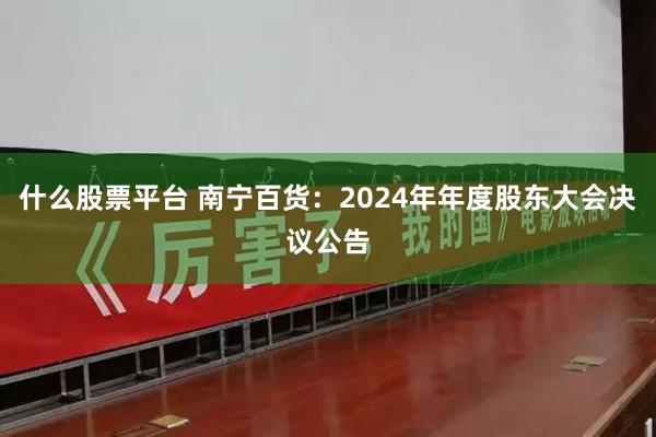 什么股票平台 南宁百货：2024年年度股东大会决议公告