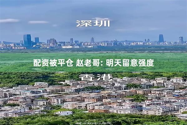 配资被平仓 赵老哥: 明天留意强度
