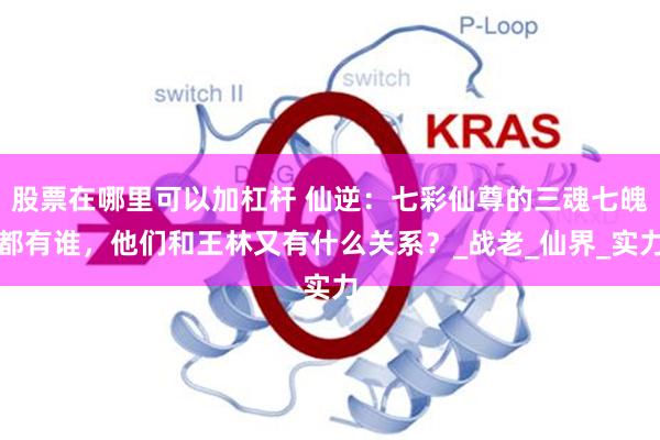 股票在哪里可以加杠杆 仙逆：七彩仙尊的三魂七魄都有谁，他们和王林又有什么关系？_战老_仙界_实力