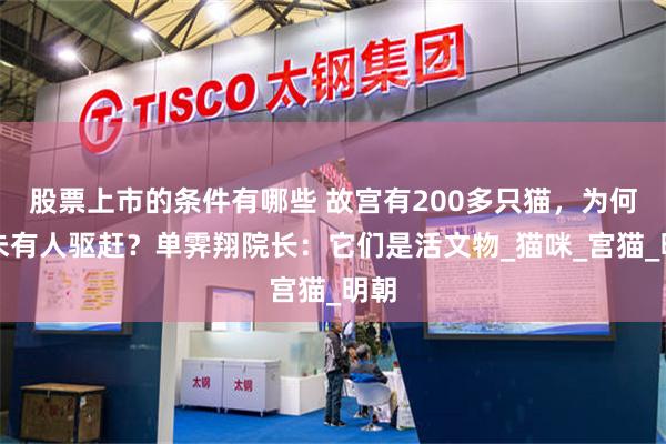 股票上市的条件有哪些 故宫有200多只猫，为何从未有人驱赶？单霁翔院长：它们是活文物_猫咪_宫猫_明朝