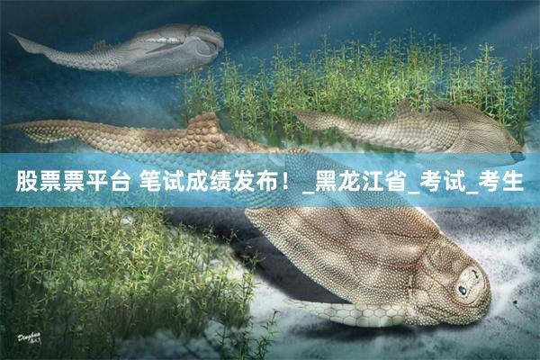 股票票平台 笔试成绩发布！_黑龙江省_考试_考生