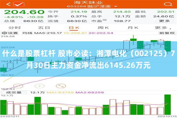 什么是股票杠杆 股市必读：湘潭电化（002125）7月30日主力资金净流出6145.26万元
