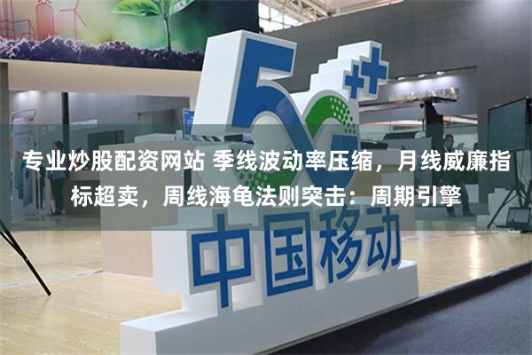 专业炒股配资网站 季线波动率压缩，月线威廉指标超卖，周线海龟法则突击：周期引擎