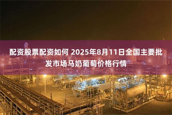 配资股票配资如何 2025年8月11日全国主要批发市场马奶葡萄价格行情
