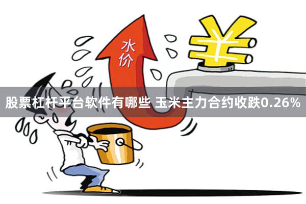 股票杠杆平台软件有哪些 玉米主力合约收跌0.26%