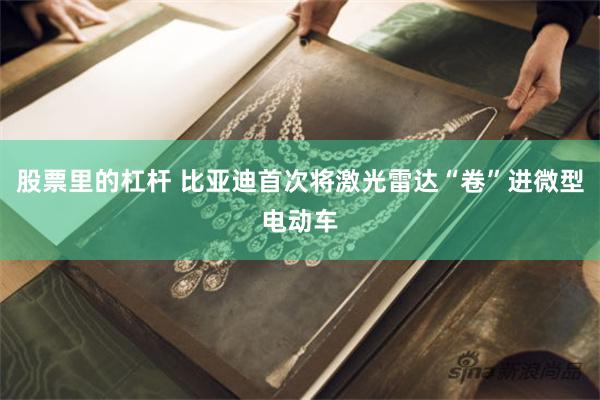 股票里的杠杆 比亚迪首次将激光雷达“卷”进微型电动车