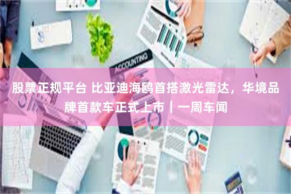股票正规平台 比亚迪海鸥首搭激光雷达,华境品牌首款车正式上市|一周车闻