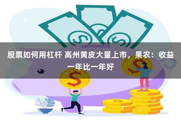 股票如何用杠杆 高州黄皮大量上市，果农：收益一年比一年好