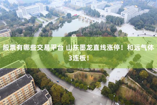 股票有哪些交易平台 山东墨龙直线涨停！和远气体3连板！
