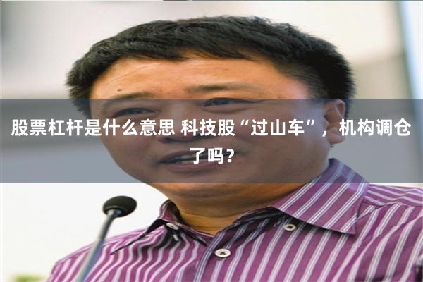 股票杠杆是什么意思 科技股“过山车”，机构调仓了吗？