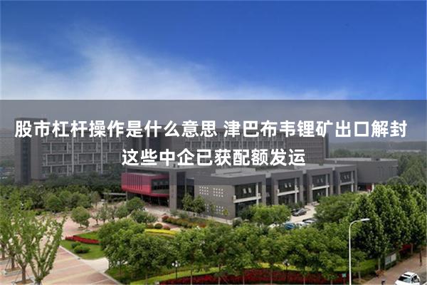 股市杠杆操作是什么意思 津巴布韦锂矿出口解封 这些中企已获配额发运