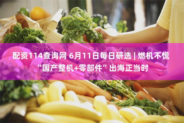 配资114查询网 6月11日每日研选 | 燃机不慌 “国产整机+零部件”出海正当时