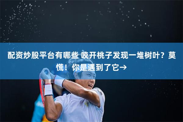 配资炒股平台有哪些 咬开桃子发现一堆树叶？莫慌！你是遇到了它→