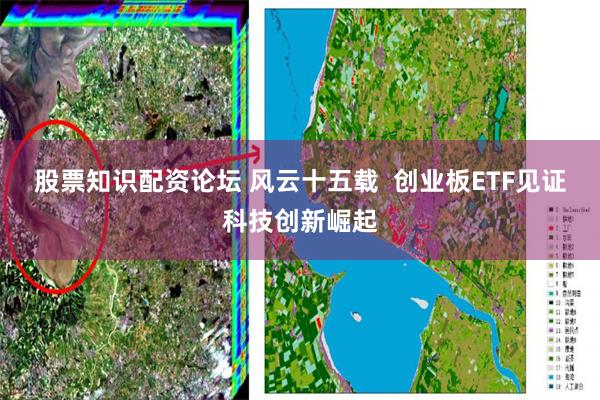 股票知识配资论坛 风云十五载  创业板ETF见证科技创新崛起