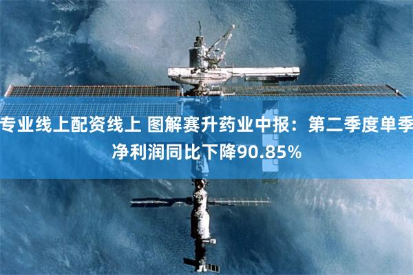 专业线上配资线上 图解赛升药业中报：第二季度单季净利润同比下降90.85%