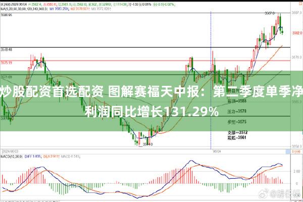 炒股配资首选配资 图解赛福天中报：第二季度单季净利润同比增长131.29%