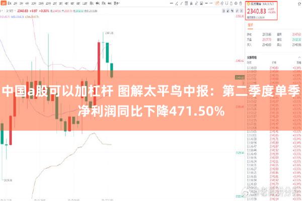 中国a股可以加杠杆 图解太平鸟中报：第二季度单季净利润同比下降471.50%