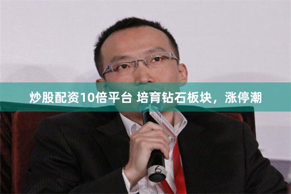 炒股配资10倍平台 培育钻石板块，涨停潮