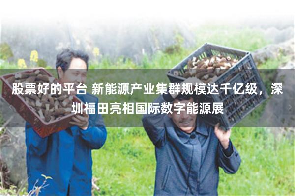 股票好的平台 新能源产业集群规模达千亿级，深圳福田亮相国际数字能源展
