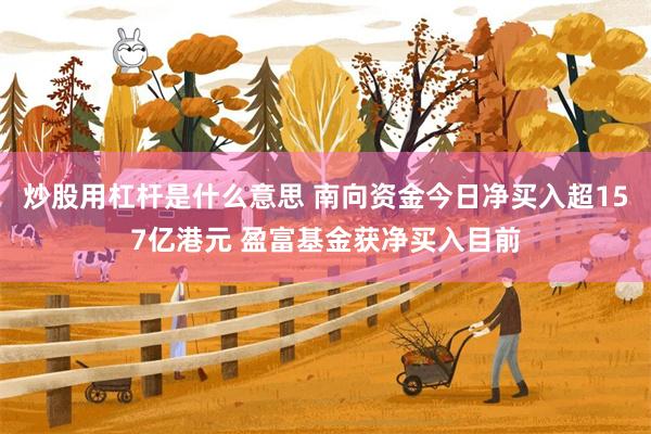 炒股用杠杆是什么意思 南向资金今日净买入超157亿港元 盈富基金获净买入目前