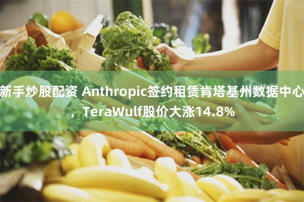 新手炒股配资 Anthropic签约租赁肯塔基州数据中心，TeraWulf股价大涨14.8%