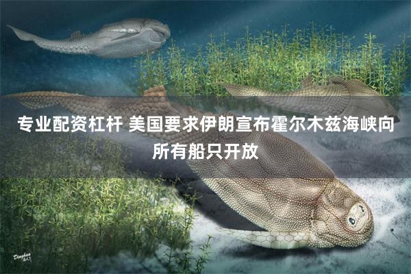 专业配资杠杆 美国要求伊朗宣布霍尔木兹海峡向所有船只开放