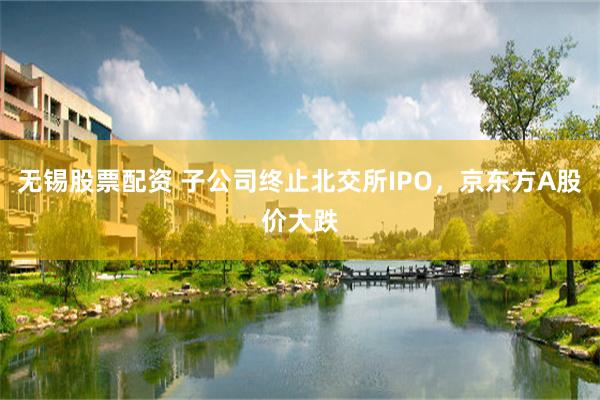 无锡股票配资 子公司终止北交所IPO，京东方A股价大跌