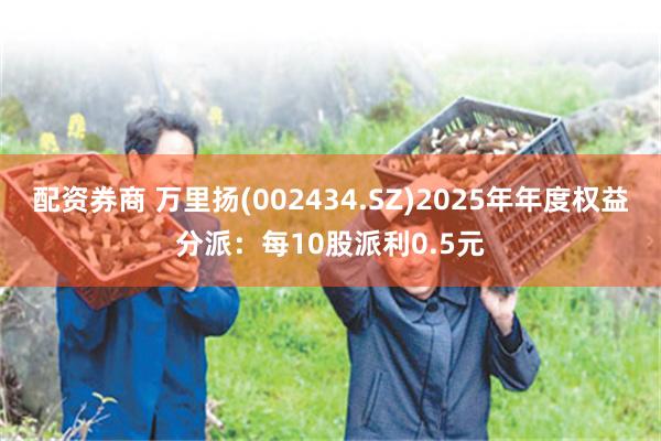 配资券商 万里扬(002434.SZ)2025年年度权益分派：每10股派利0.5元