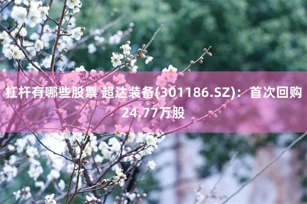 杠杆有哪些股票 超达装备(301186.SZ)：首次回购24.77万股