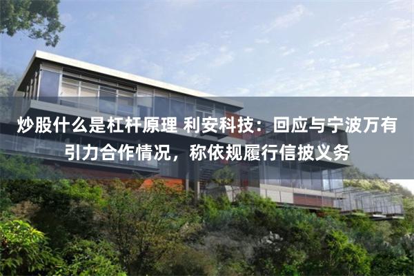 炒股什么是杠杆原理 利安科技：回应与宁波万有引力合作情况，称依规履行信披义务