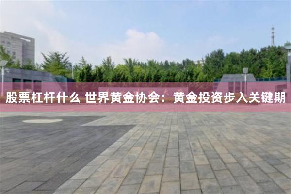 股票杠杆什么 世界黄金协会：黄金投资步入关键期