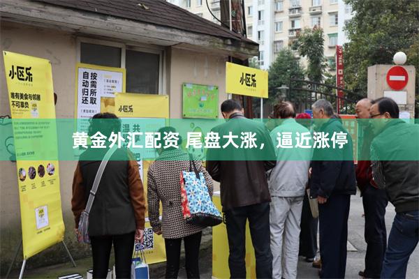 黄金外汇配资 尾盘大涨，逼近涨停