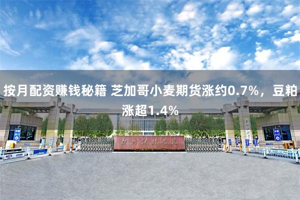 按月配资赚钱秘籍 芝加哥小麦期货涨约0.7%，豆粕涨超1.4%